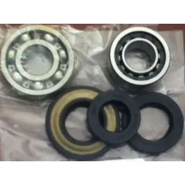 Kit revisione albero motore Piaggio Ape MP cuscinetti e paraoli