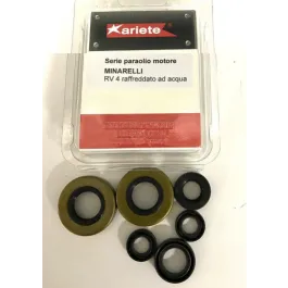 Kit Paroli motore RV4 MINARELLI ACQUA H2O 50 cc ARIETE 08874/A