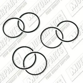 Serie segmenti ø 49 per Gruppo termico motori Minarelli AM345/6