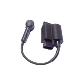 Centralina bobina accensione Piaggio Ape 50 2009-2017 642219
