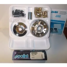 variatore pgo big max