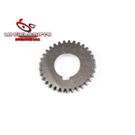 ingranaggio pompa olio piaggio px t5 cosa