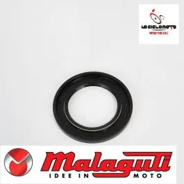 paraolio albero ruota posteriore malaguti