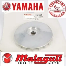 puleggia primaria fissa