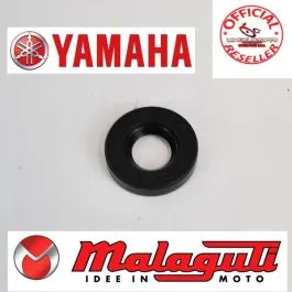 paraolio pompa acqua