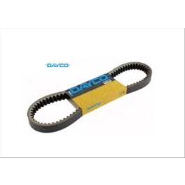 cinghia booster dayco 7167