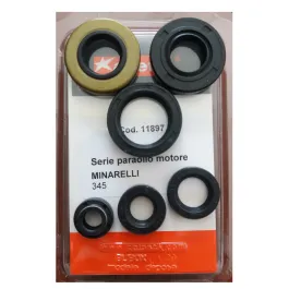 Serie Paraoli Motore Minarelli Am345 Aprilia Beta Fantic Malaguti Ariete 11897