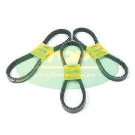 Cinghia di trasmissione Yamaha