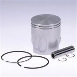 pt00150 pistone d.49 per trasf. -am 345