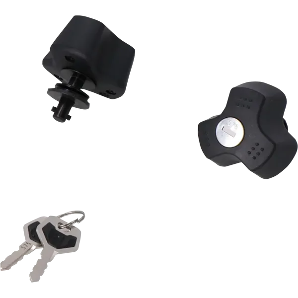 Protezione antifurto per il supporto laterale-15101069