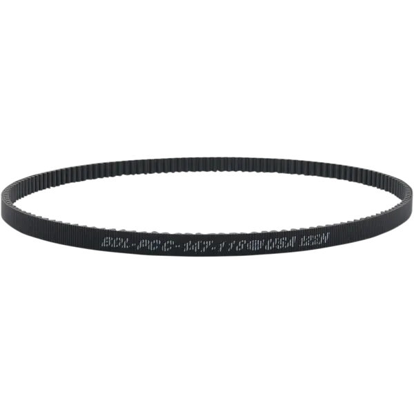 Cinghia trasmissione posteriore-12040231