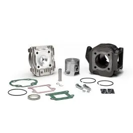 Gruppo termico ø 47 ghisa spinotto ø 10 BOOSTER BW'S SR AMICO 50 Malossi 317237