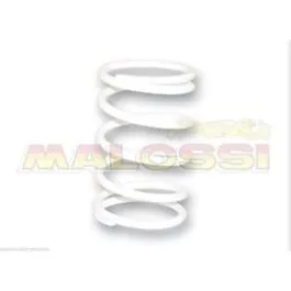 molla contrasto variatore bianca beverly 400 500