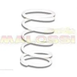 molla contrasto variatore bianca beverly 350