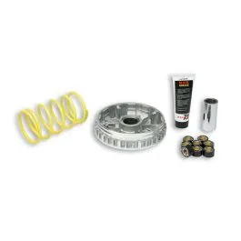 multivar 2000 leonardo 250 x-max 250 x-city 250