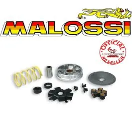 variatore malossi multivar