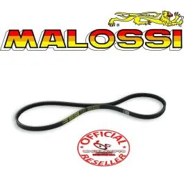 cinghia di trasmissione malossi