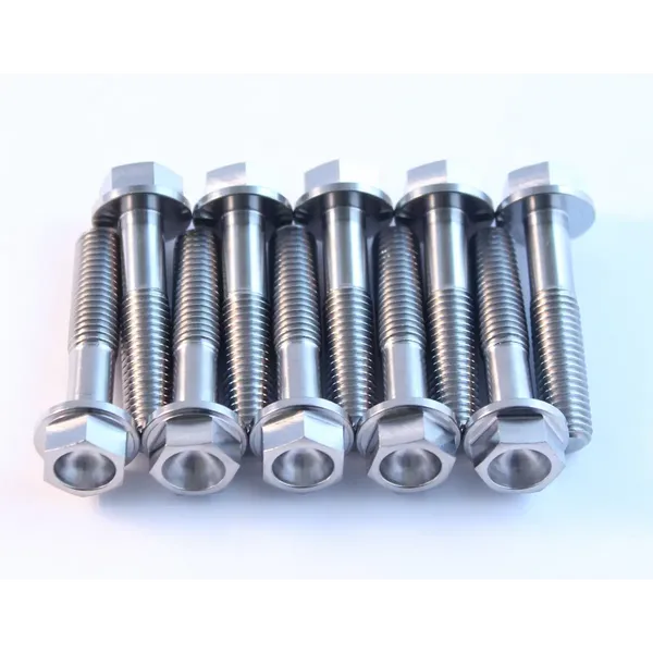 Viti in titanio-24040807