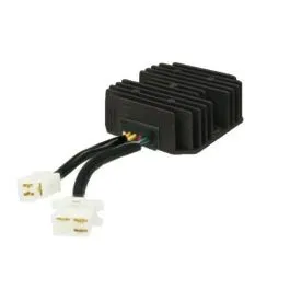 Regolatore di tensione 6 cavi 2 connettori