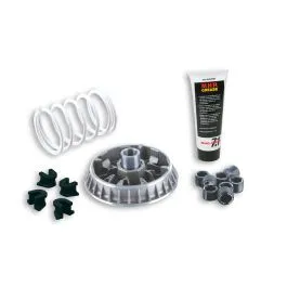 Multivar Malossi Atlantic 500 beverly '05 (8 rulli) 5114260