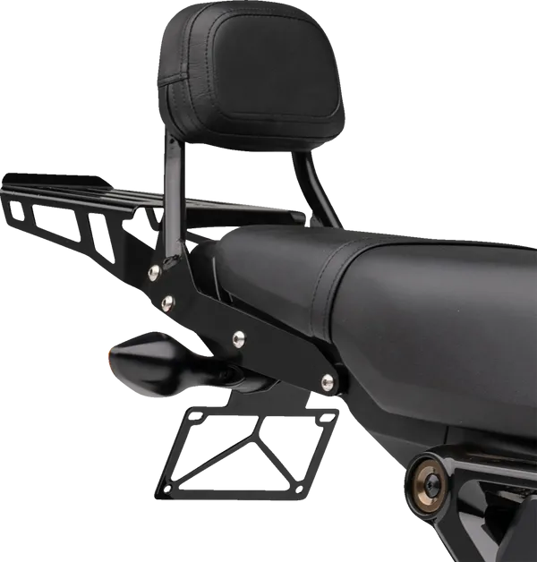 Schienalino-15010790