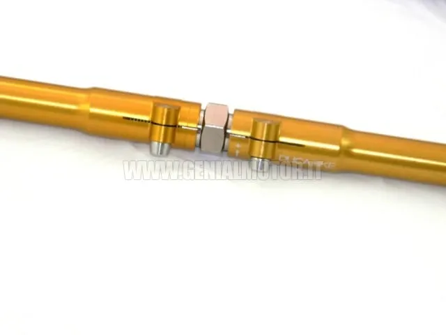 Ducabike Dbk Adr02b Asta Di Reazione Posteriore Regolabile Oro-ADR02B-24334