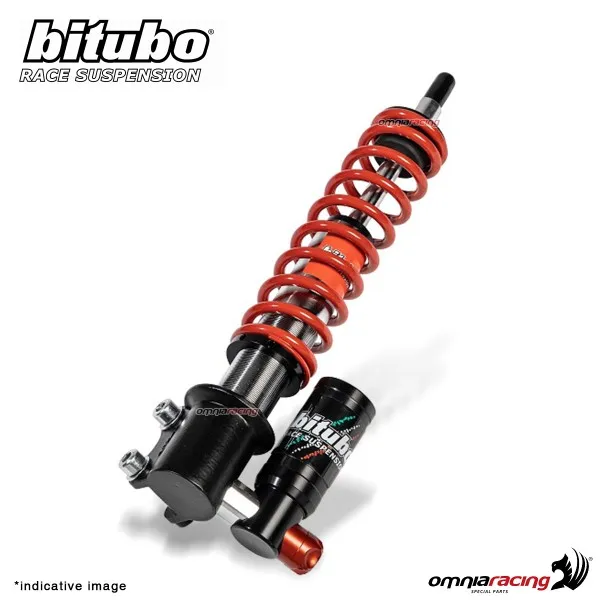 Ammortizzatore anteriore Bitubo GEV0 regolabile Piaggio Vespa Primavera 50 4T 3V E5 2020-2021