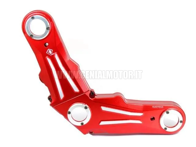 Ducabike Dbk Cdscra01ae Coperchio Cinghie Distribuzione Rosso - Silver-CDSCRA01AE-24594