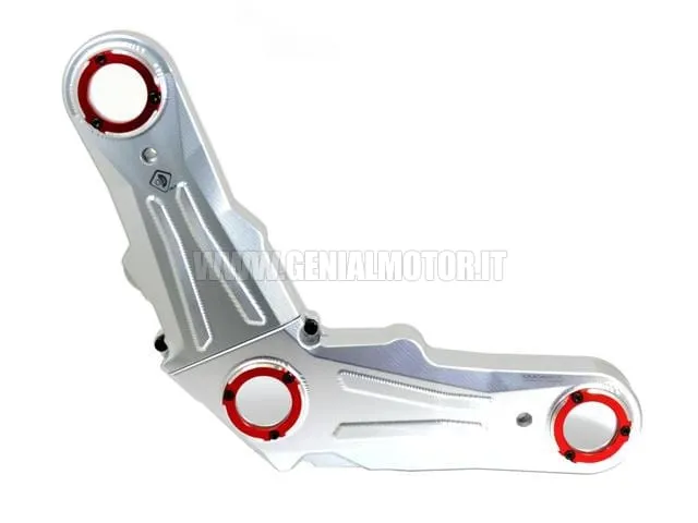 Ducabike Dbk Cdscra01ea Coperchio Cinghie Distribuzione Silver - Rosso-CDSCRA01EA-24603