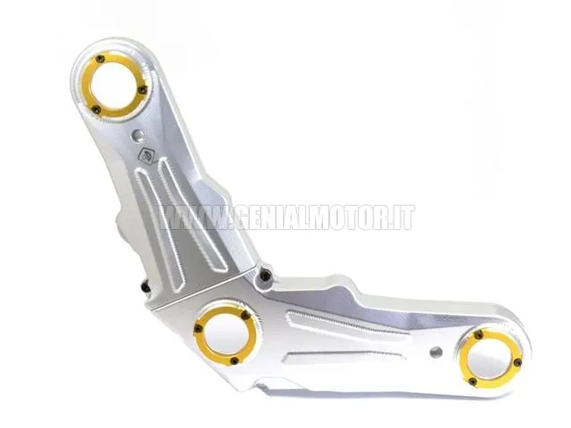 Ducabike Dbk Cdscra01eb Coperchio Cinghie Distribuzione Silver - Oro-CDSCRA01EB-24604