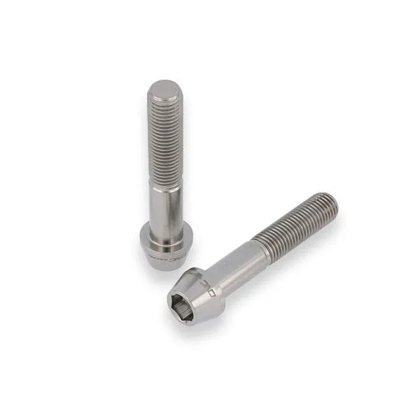 Kit viti pinza freno anteriore M10 (2pz) CNC Racing titanio Aprilia RSV4RR 2017-2018