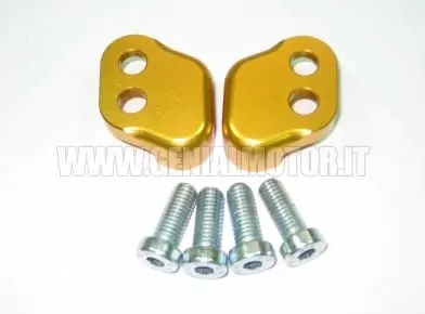 Ducabike Dbk Rpb06b Supporti Arretra Pedale Oro-RPB06B-24995