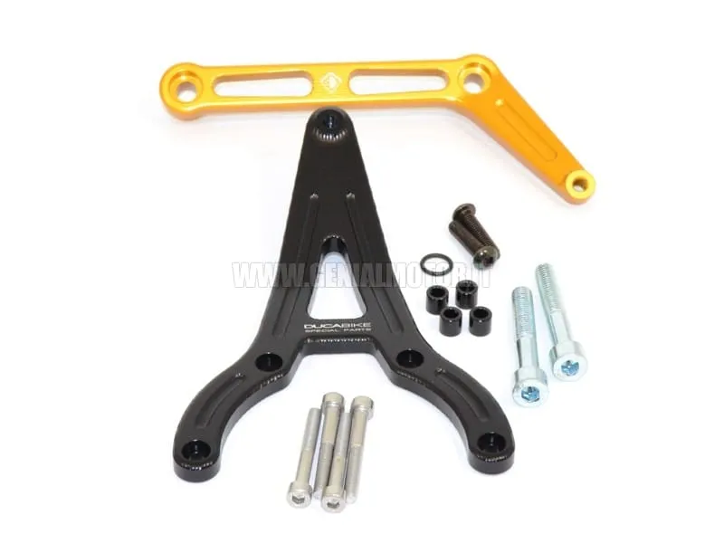 Ducabike Dbk Sas09b Mts 1200 My15 Supporto Ammortizzatore Di Sterzo Nero - Oro-SAS09B-24453