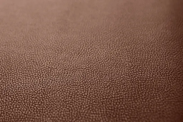 Copertina sella in fibra di carbonio-08213462