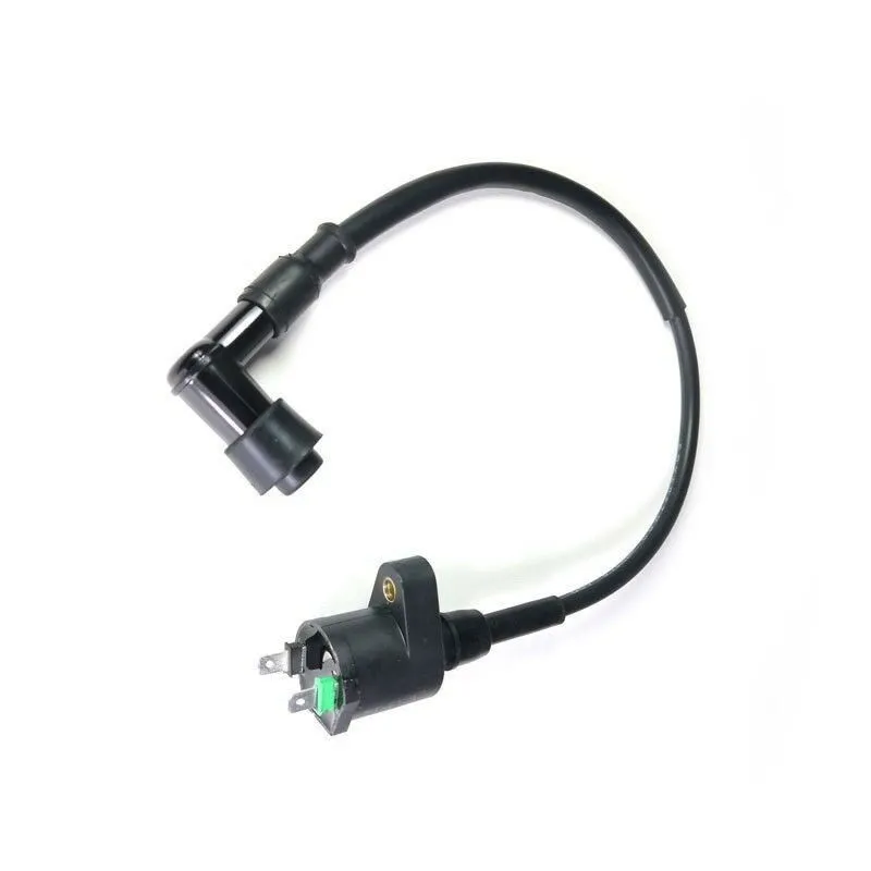 Bobina Pitbike Standard 2 Pin Per Impianto Elettrico YX