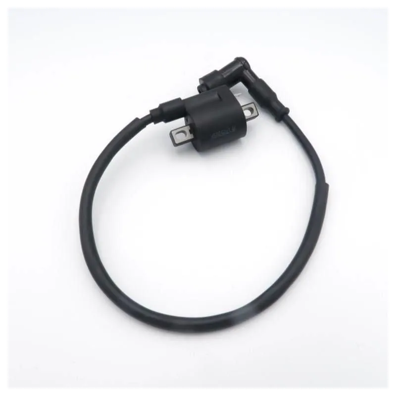 Bobina Pitbike Standard 1 Pin Per Impianto Elettrico GPX / ZONGSHEN