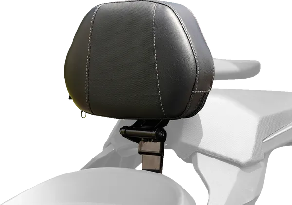 Ballistic Driver Backrest-08220558