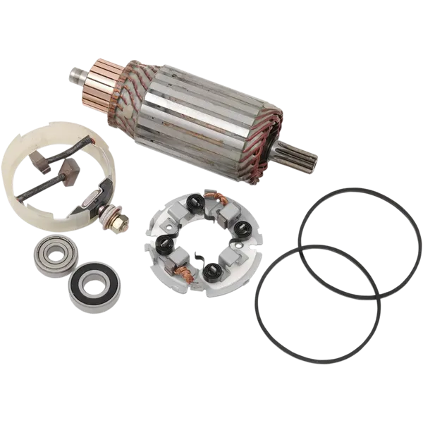 Kit di riparazione motorino di avviamento-21100380