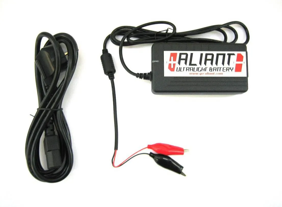 Caricabatterie Aliant 3ampere (Carica tutte le batteria al litio Aliant)