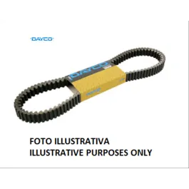 cinghia dayco piaggio skipper lx 125cc 43481