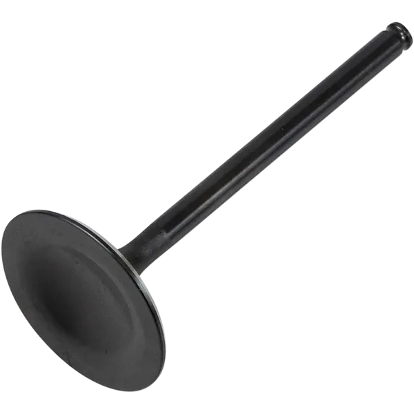 Valvola motore Black Diamond™-20080220