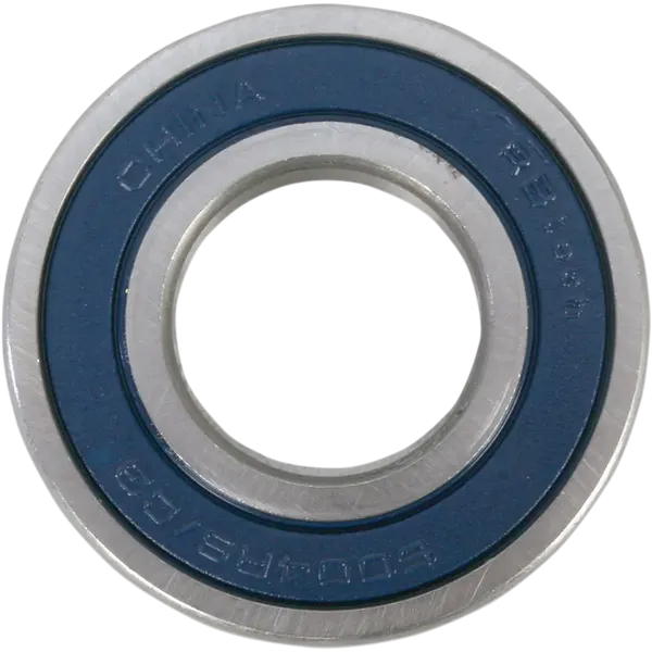 Cuscinetto singolo-60042RS