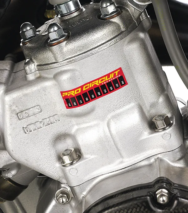 Strisce termometriche-09500059