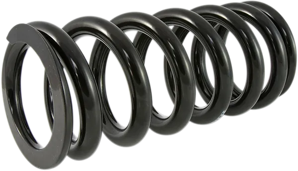 Shock Springs Rear-13121087