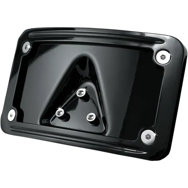 Attacco portatarga inclinato curvo con cornice-20300586