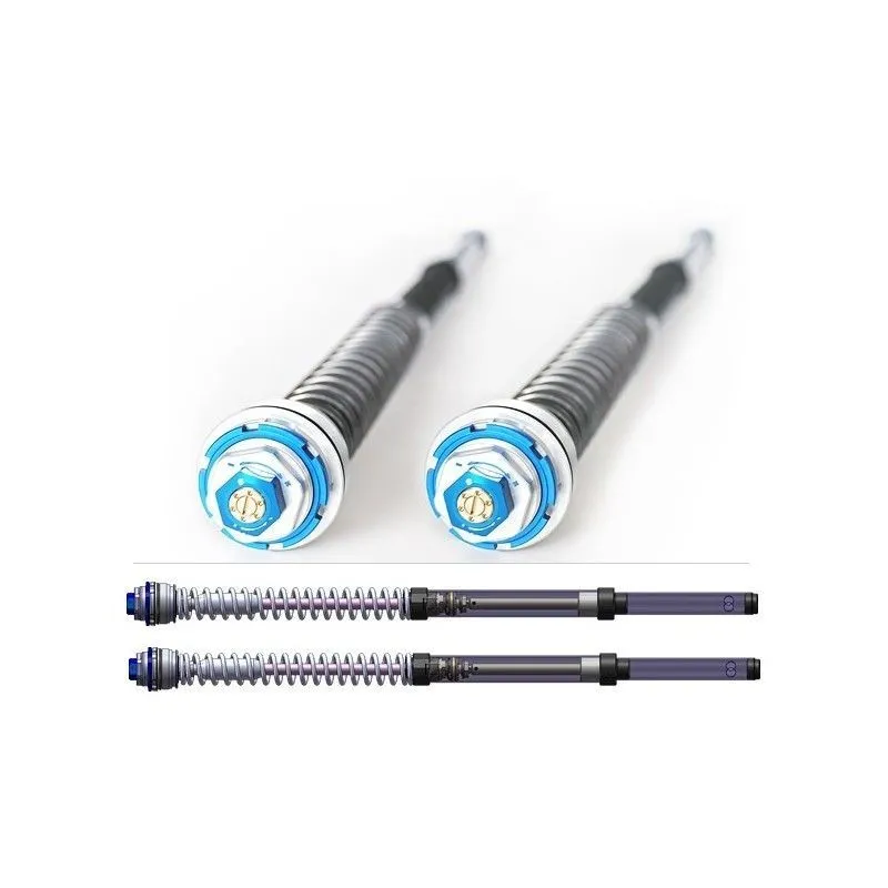 FG Gubellini Cartuccia idraulica P.ZERO Ducati