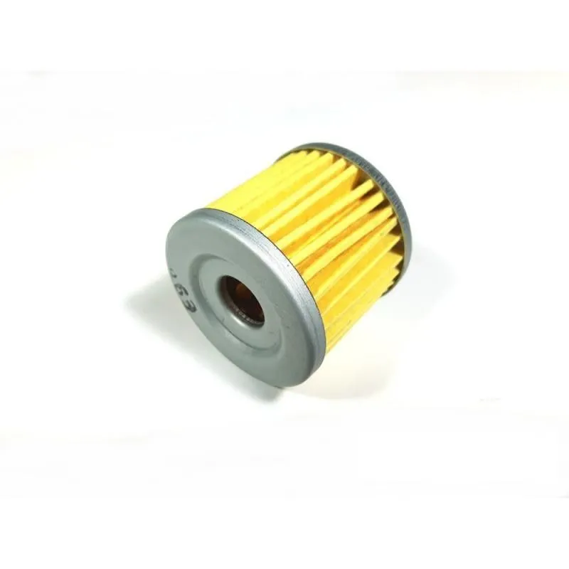 Filtro olio interno in carta per motori GPX / ZONGSHEN 155