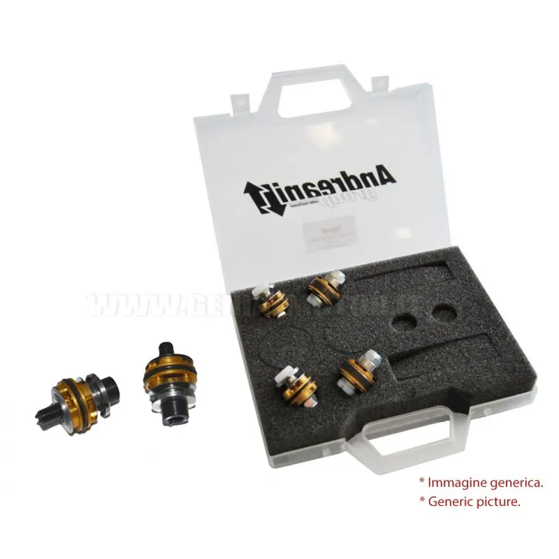 kit pistoni forcella (compresione+estensione)