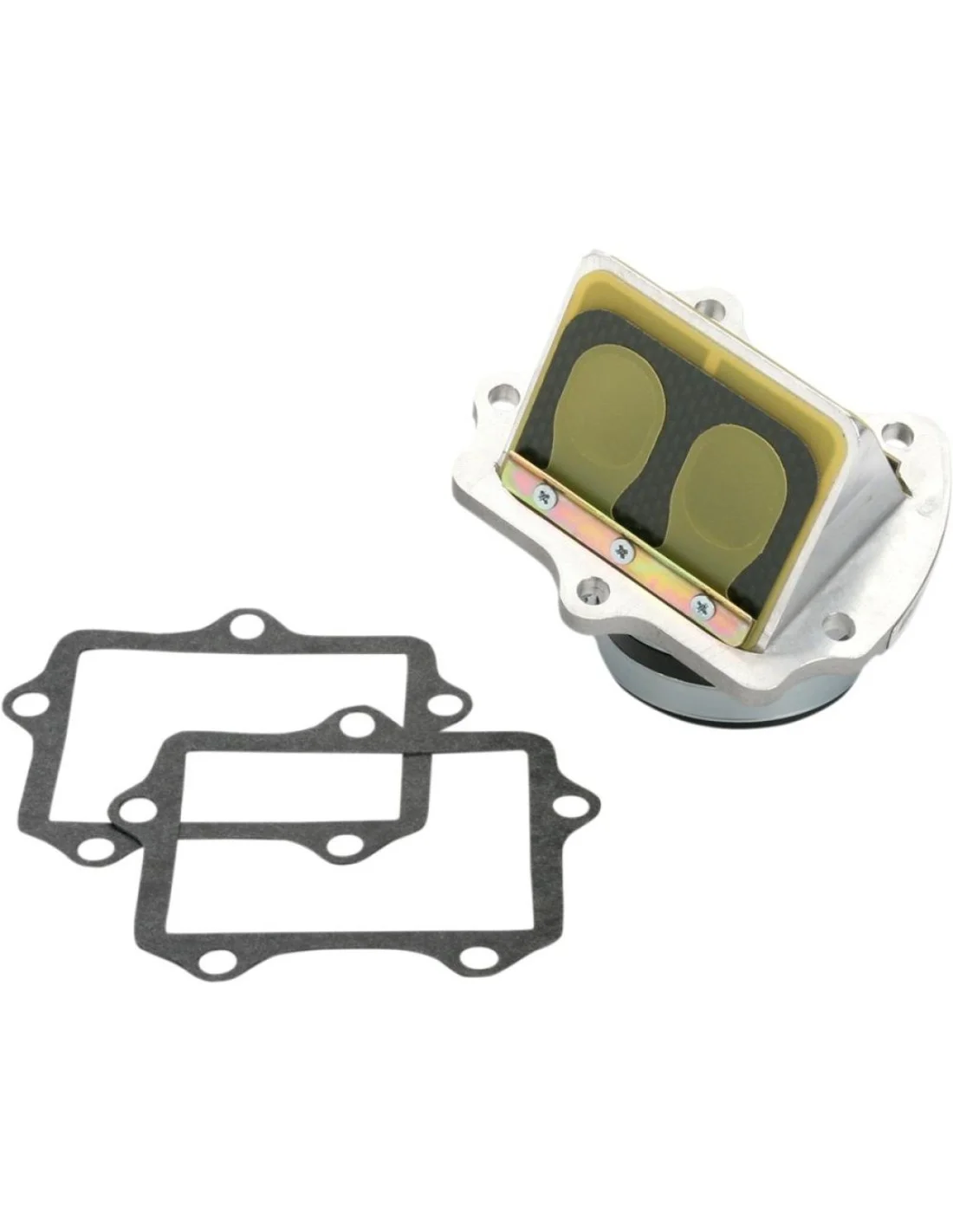 Pacco Lamellare Boyesen - RM 250 04-09