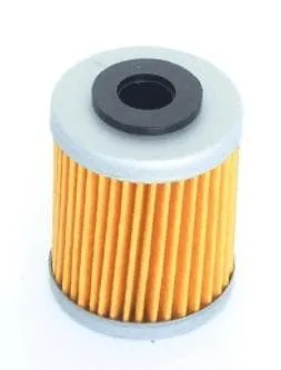 Filtro olio ATHENA KTM FFC005
